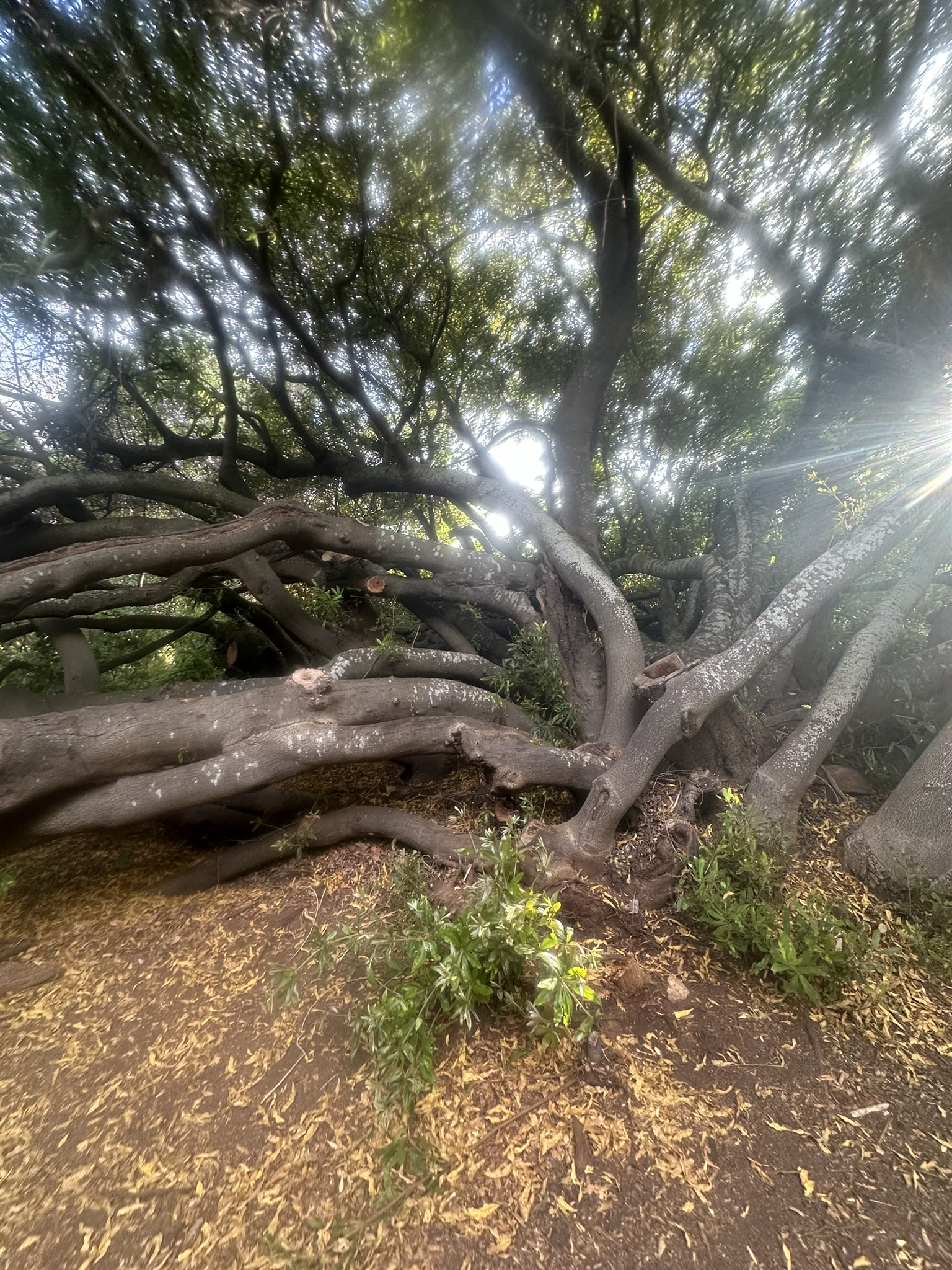 South Africa - Image 745